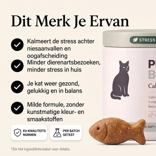 Calm Start Chews voor katten · Helpt bij terugkerende niesbuien en traanogen